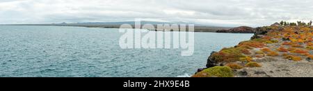 Panoramic photograph of Isla Seymour Norte, Galapagos Islands, Ecuador. Stock Photo