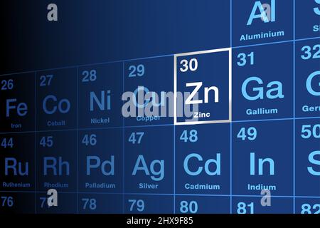 Zinc on periodic table of the elements, with symbol Zn from German word Zinke, with atomic number 30. Slightly brittle metal and an essential mineral, Stock Photo