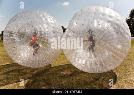 children have a lot of fun in the Zorbing Ball Stock Photo