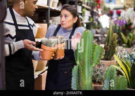 Flower shop workers discussing holding cactus pots in hands Stock Photo