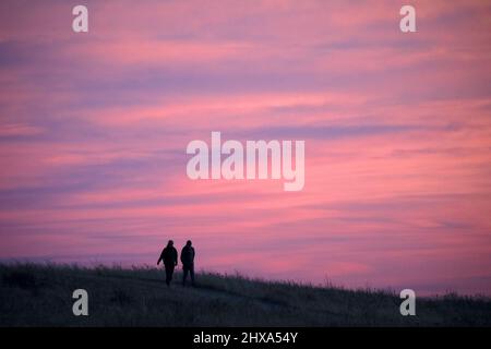 Woman and man walking along a trail outdoors in a grassland nature park with pink sunset sky. Stock Photo