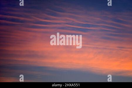 Pink - orange rolls of clouds in the sky at sunset over the Canadian prairies, Alberta, Canada Stock Photo