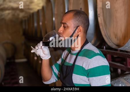 Positive sommelier in protective mask tasting red wine from barrels Stock Photo
