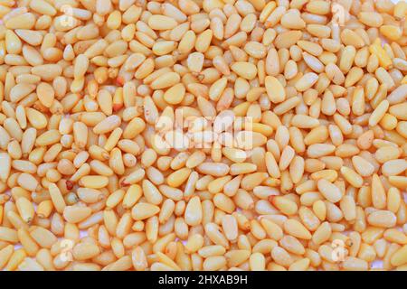 Pine nuts on white background Stock Photo