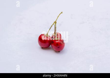 Malpigia Globra Fruits On Stem Against White Background Stock Photo