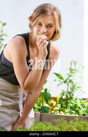 These herbs will be perfect in my next dish. A young woman smelling herbs in her garden. Stock Photo