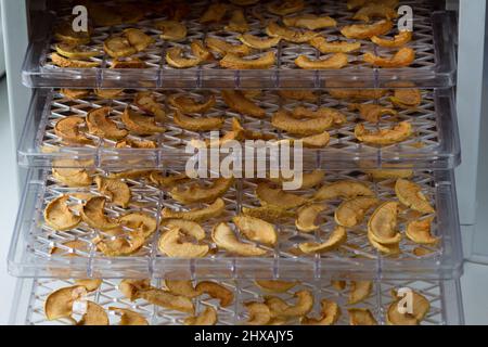 Dehydrated dry cut apples on tray Stock Photo