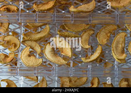 Dehydrated dry cut apples on tray Stock Photo