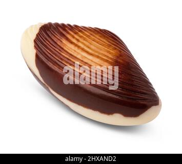 Chocolate sweets shaped as seashells isolated on white background Stock Photo