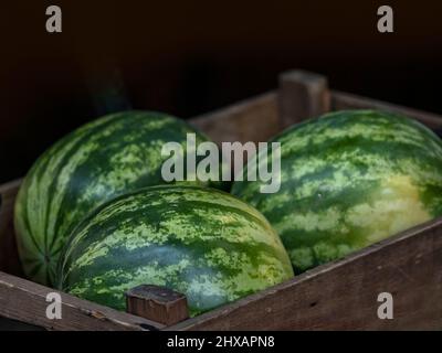 Closeup of water melons in a wooden box on a greengrocers stall at a farmers market Stock Photo