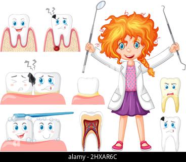 Set of all types of teeth on white background illustration Stock Vector