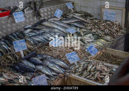KANDY, SRI LANKA - MARCH 20: Fish stall stalls on Kandy Market in Sri Lanka, background cutted fish Stock Photo