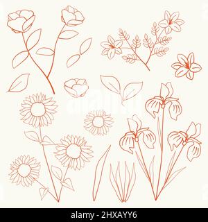 Buttercup Flower Floral Hand Drawn. Vector Design Illustration Sign Logo  Stock Vector Image & Art - Alamy
