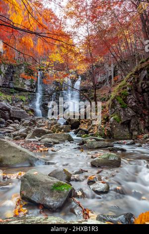 Dardagna waterfalls - Group of waterfalls accessible by footpath through a beech forest, known for its colorful autumn foliage. Stock Photo
