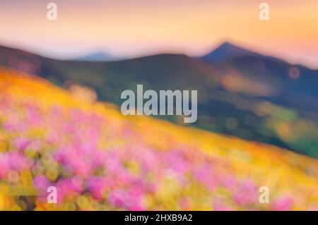 Great view of the magic pink rhododendron flowers. Retro filtered. Beauty world. Natural blurred background. Soft light effect. Stock Photo