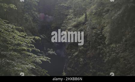 Aerial of a man standing in the gorge between two mountains covered by green plants and trees, extreme situation. Stock footgage. Man lighting the Stock Photo