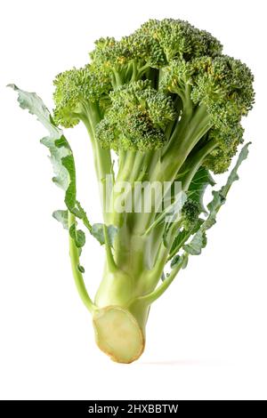 fresh broccoli, nutritional benefits edible green vegetable isolated on white background, closeup Stock Photo