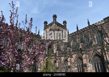 close up of Chester cathedral, the majestic tower glowing in the low sunshine at dusk Stock Photo