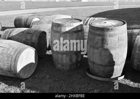 close up of old fashioned wooden beer barrels stood on grass outside on a sunny day.  Old wood kegs full of alcohol Stock Photo