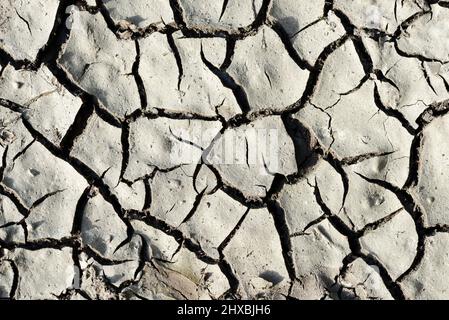 Arid cracked soil as background. Concept of climate change or global warming. Stock Photo