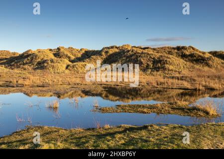 Sand dunes at Talacre beach on the North Wales coast Stock Photo