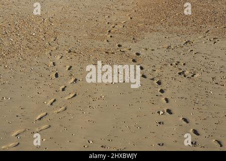 Two sets of human footprints on a beach of soft sand. Littlehampton, West Sussex, England Stock Photo