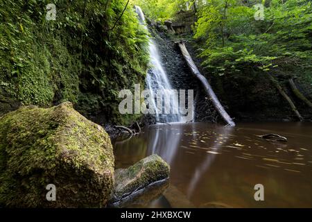 Large cascading waterfall tumbling into a peaceful pool near whitby. Falling foss waterfall, Yorkshire Dales. Waterfall portrait Stock Photo
