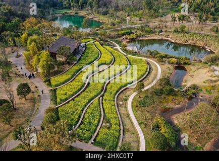 Chongqing. 10th Mar, 2022. Aerial photo taken on March 10, 2022 shows the scenery of Guangyang Isle in southwest China's Chongqing. Guangyang Isle, the largest island on the upper Yangtze River, is rich in natural resources. In recent years, a series of measures have been taken to restore the natural ecological environment of the island. Now, the island attracts a large number of tourists every spring. Credit: Wang Quanchao/Xinhua/Alamy Live News Stock Photo