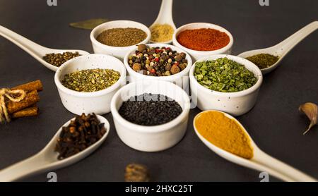 Spices for cooking, different varieties, laid out in the shape of a star, in white bowls and spoons, on a gray background, side view. Stock Photo
