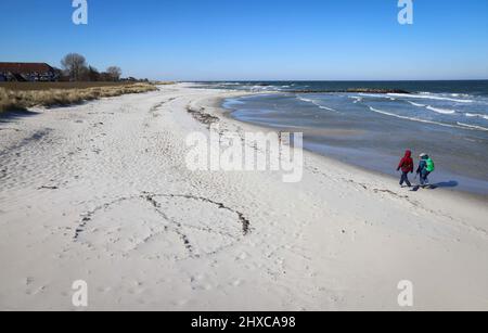 11 March 2022, Schleswig-Holstein, Schöneberg: A large peace sign is blown away by the sand on Schöneberg beach on the Baltic Sea. Photo: Christian Charisius/dpa Stock Photo