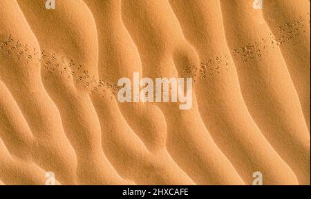 Rippled texture of pattern of golden sand Stock Photo