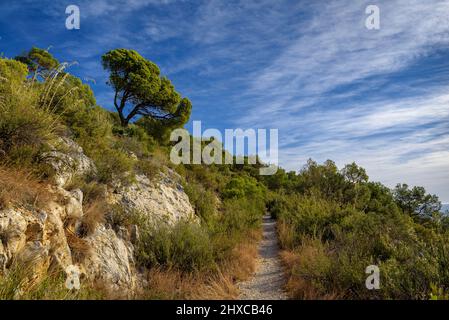 LA ROCA VILLAGE, BARCELONA, SPAIN - MARCH 17, 2018 : Shopping Ma Editorial  Photography - Image of tourism, elegance: 122715832