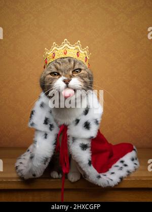 funny naughty cat wearing king costume and crown like a royal kitty