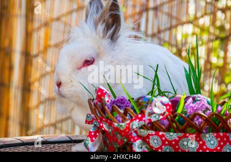 Easter bunny behind wonderful decorated basket full with colorful eggs Stock Photo