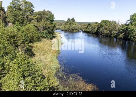 The famous River Spey at Boat of Garten  Highland, Scotland UK. Stock Photo