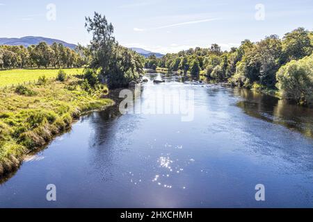 The famous River Spey at Boat of Garten  Highland, Scotland UK. Stock Photo