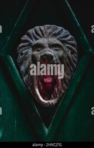 Door knocker in the shape of a lion's head in the old town of Motovun, Istria Stock Photo
