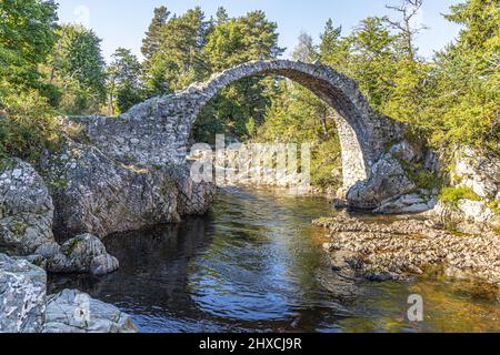 The remains of the Old Packhorse Bridge built in 1717 over the River Dulnain in the village of Carrbridge, Highland, Scotland UK. Stock Photo