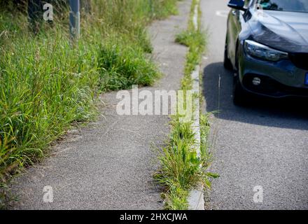 Germany, Bavaria, Upper Bavaria, road, sidewalk, verge, weed growing through tar surface, parked car Stock Photo