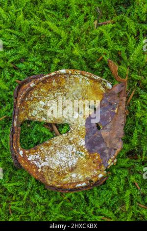 Rusty tin can lid on moss Stock Photo