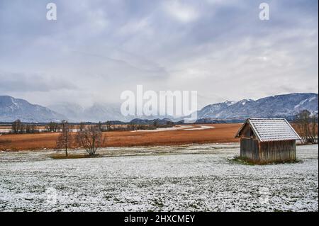 Landscape in Upper Bavaria, foothills of the Alps, Murnauer Moos, Murnau am Staffelsee, wooden shed in front of the raised bog in the Langer Filze, with 32 sq. km the largest contiguous near-natural bog area in Central Europe