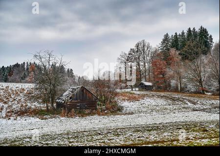 Landscape in Upper Bavaria, foothills of the Alps, Murnauer Moos, Murnau am Staffelsee, wooden hut at the panorama path near Seeleiten-Berggeist