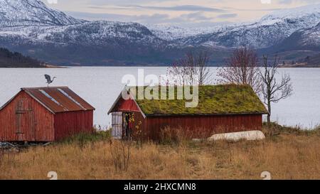The area around Botnhamn, Gamvika and Husoy in the north-east of the island, herons on the roof, Stock Photo