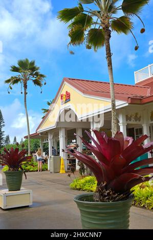 The historic pineapple plantation of Dole plc in the village of Wahiawa, Oahu HI Stock Photo