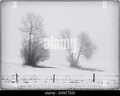 Winter in Ostallgäu Stock Photo