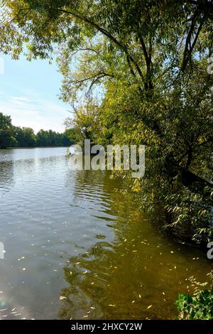 Landscape and quarry ponds near Dörfleins, part of the LIFE-Nature Project Upper Main Valley, City of Hallstadt, County of Bamberg, Upper Franconia, Franconia, Bavaria, Germany Stock Photo