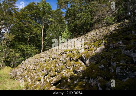 The Lösershag Nature Reserve near Oberbach-Wildflecken, Rhön Biosphere Reserve, Lower Franconia, Franconia, Bavaria, Germany Stock Photo