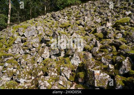 The Lösershag Nature Reserve near Oberbach-Wildflecken, Rhön Biosphere Reserve, Lower Franconia, Franconia, Bavaria, Germany Stock Photo