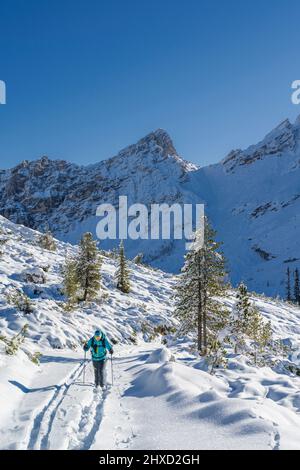 San Vigilio di Marebbe, Fanes, Dolomites, Province of Bolzano, South Tyrol, Italy, Europe. A hiker in the ascent to Fanes, in the background the Ciaminspitze. Stock Photo