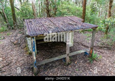 Photograph of an old and damaged white stone shelter with a dirt floor and rusty corrugated iron roof in a forest in the Blue Mountains in Australia Stock Photo